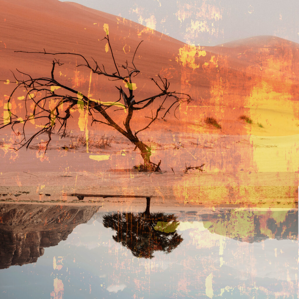 Knorrige Bäume in der Wüste - das Bild ist zweigeteilt, das obere ist "richtig" rum, das Untere horizontan gespiegelt (der Baum zeigt also nach unten). Semi-transparent ist ein Bild einer rostigen Wand drübergelegt, alles hat einen sehr ausgebleichten, orangenen sandigen Look.