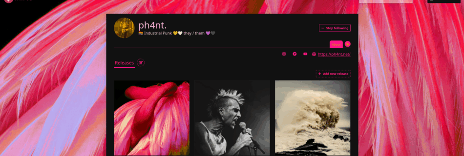 Screenshot von ph4nts Mirlo-Page