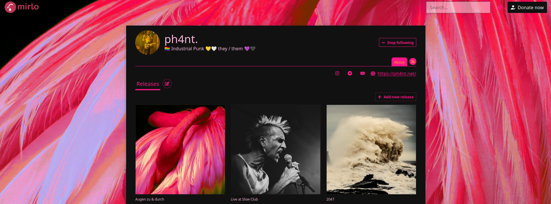 Screenshot von ph4nts Mirlo-Page